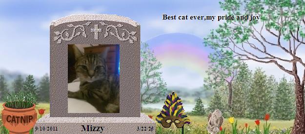 Mizzy's Rainbow Bridge Pet Loss Memorial Residency Image