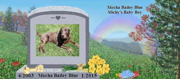 Mocha Bailey Blue's Rainbow Bridge Pet Loss Memorial Residency Image