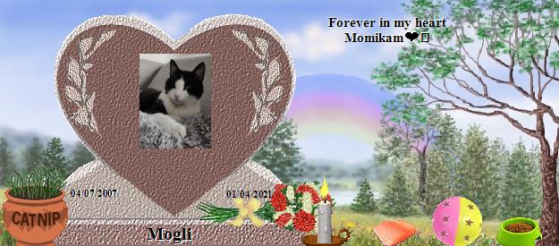 Mogli's Rainbow Bridge Pet Loss Memorial Residency Image