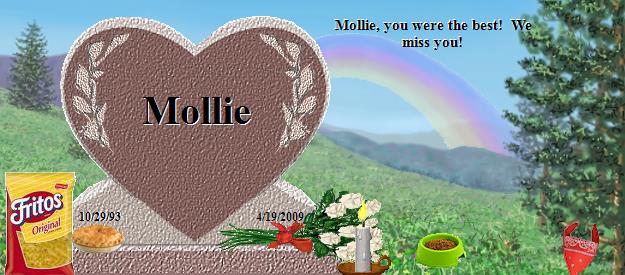 Mollie's Rainbow Bridge Pet Loss Memorial Residency Image