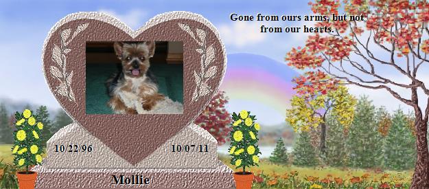 Mollie's Rainbow Bridge Pet Loss Memorial Residency Image