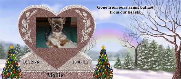 Mollie's Rainbow Bridge Pet Loss Memorial Residency Image