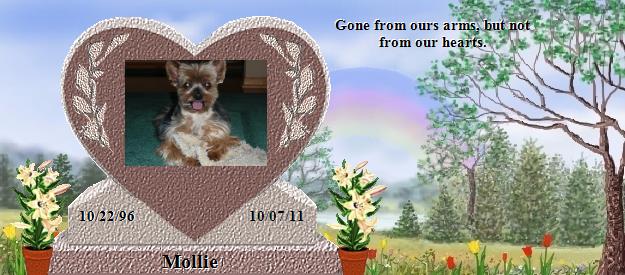 Mollie's Rainbow Bridge Pet Loss Memorial Residency Image