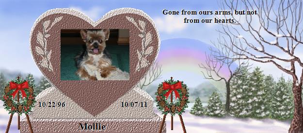 Mollie's Rainbow Bridge Pet Loss Memorial Residency Image