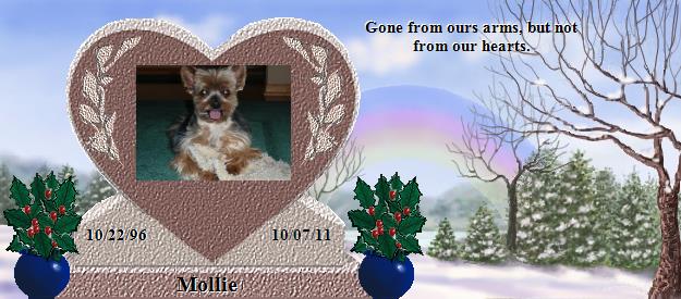 Mollie's Rainbow Bridge Pet Loss Memorial Residency Image