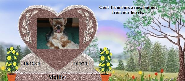 Mollie's Rainbow Bridge Pet Loss Memorial Residency Image