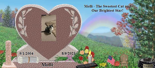 Molli's Rainbow Bridge Pet Loss Memorial Residency Image