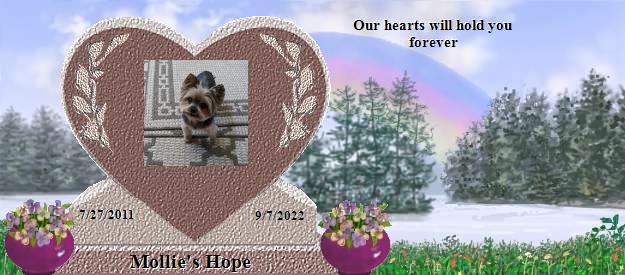 Mollie's Hope's Rainbow Bridge Pet Loss Memorial Residency Image