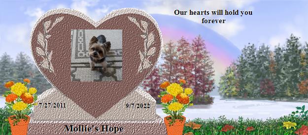 Mollie's Hope's Rainbow Bridge Pet Loss Memorial Residency Image