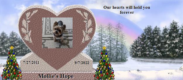 Mollie's Hope's Rainbow Bridge Pet Loss Memorial Residency Image