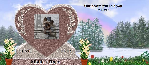 Mollie's Hope's Rainbow Bridge Pet Loss Memorial Residency Image
