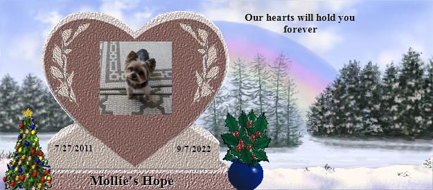 Mollie's Hope's Rainbow Bridge Pet Loss Memorial Residency Image