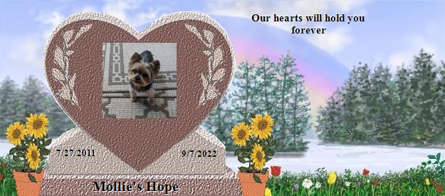 Mollie's Hope's Rainbow Bridge Pet Loss Memorial Residency Image