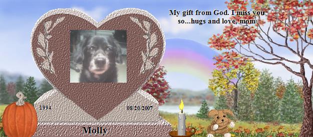 Molly's Rainbow Bridge Pet Loss Memorial Residency Image