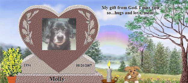 Molly's Rainbow Bridge Pet Loss Memorial Residency Image