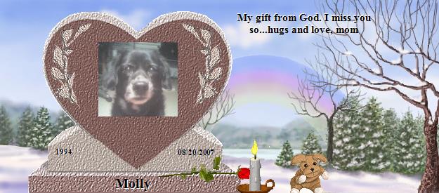 Molly's Rainbow Bridge Pet Loss Memorial Residency Image