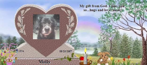 Molly's Rainbow Bridge Pet Loss Memorial Residency Image
