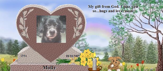 Molly's Rainbow Bridge Pet Loss Memorial Residency Image