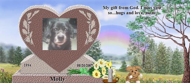 Molly's Rainbow Bridge Pet Loss Memorial Residency Image