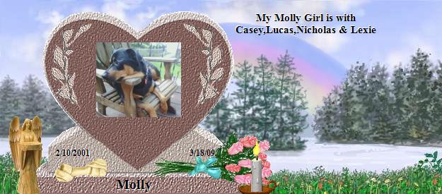 Molly's Rainbow Bridge Pet Loss Memorial Residency Image