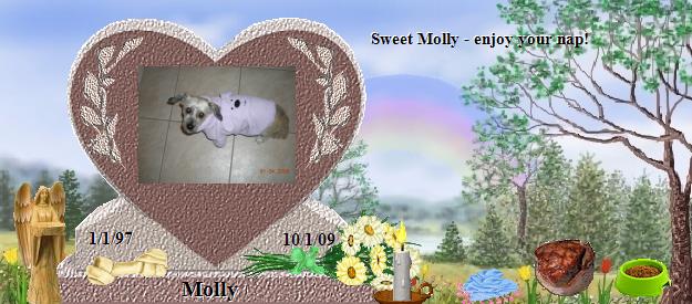 Molly's Rainbow Bridge Pet Loss Memorial Residency Image