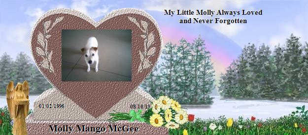 Molly Mango McGee's Rainbow Bridge Pet Loss Memorial Residency Image