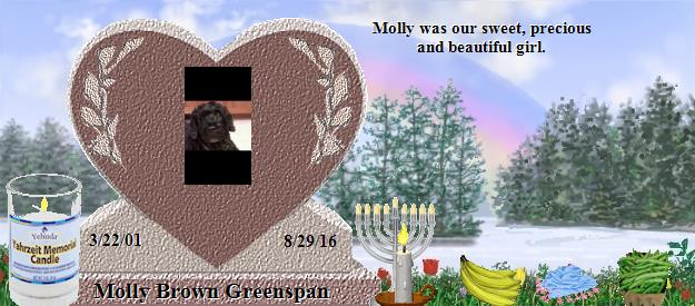 Molly Brown Greenspan's Rainbow Bridge Pet Loss Memorial Residency Image
