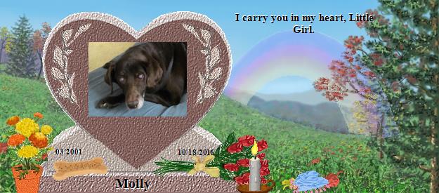 Molly's Rainbow Bridge Pet Loss Memorial Residency Image