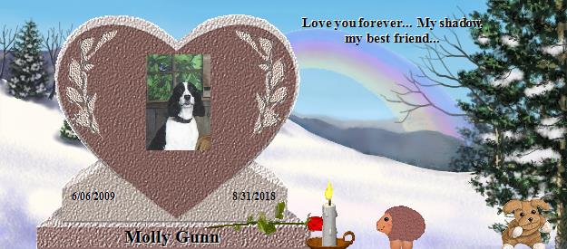 Molly Gunn's Rainbow Bridge Pet Loss Memorial Residency Image