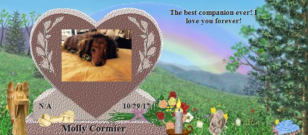 Molly Cormier's Rainbow Bridge Pet Loss Memorial Residency Image