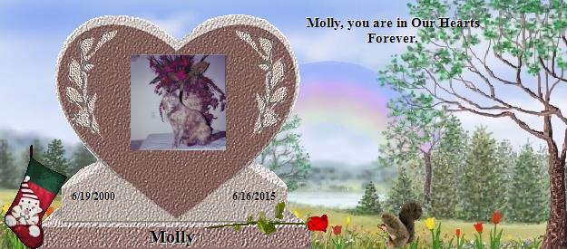 Molly's Rainbow Bridge Pet Loss Memorial Residency Image