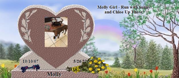Molly's Rainbow Bridge Pet Loss Memorial Residency Image