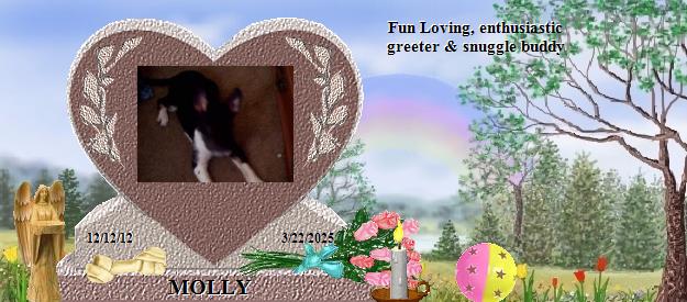 MOLLY's Rainbow Bridge Pet Loss Memorial Residency Image