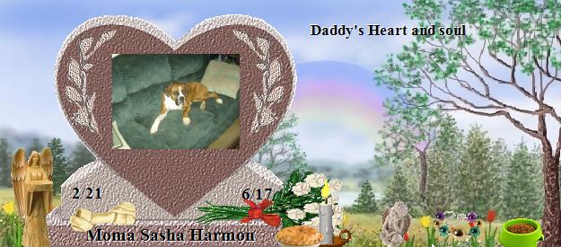 Moma Sasha Harmon's Rainbow Bridge Pet Loss Memorial Residency Image
