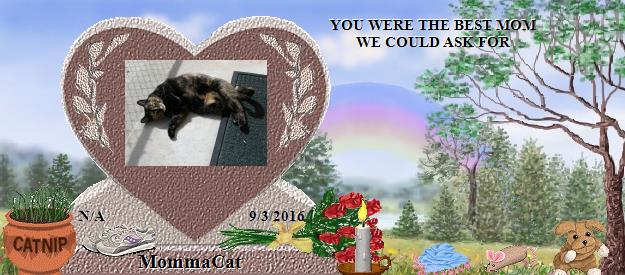 MommaCat's Rainbow Bridge Pet Loss Memorial Residency Image