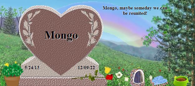 Mongo's Rainbow Bridge Pet Loss Memorial Residency Image