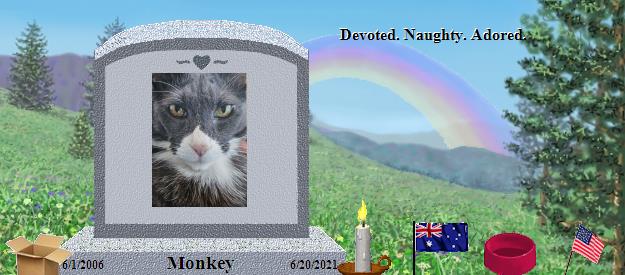 Monkey's Rainbow Bridge Pet Loss Memorial Residency Image