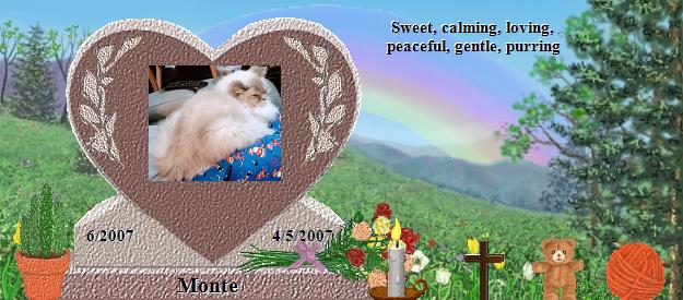 Monte's Rainbow Bridge Pet Loss Memorial Residency Image