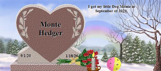 Monte Hedger's Rainbow Bridge Pet Loss Memorial Residency Image