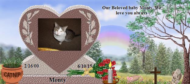 Monty's Rainbow Bridge Pet Loss Memorial Residency Image