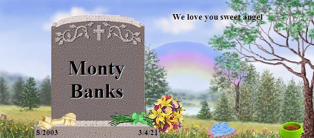 Monty Banks's Rainbow Bridge Pet Loss Memorial Residency Image