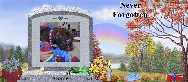 Mooie's Rainbow Bridge Pet Loss Memorial Residency Image