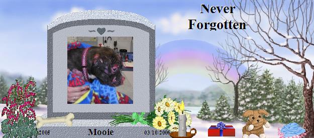 Mooie's Rainbow Bridge Pet Loss Memorial Residency Image