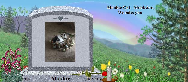 Mookie's Rainbow Bridge Pet Loss Memorial Residency Image