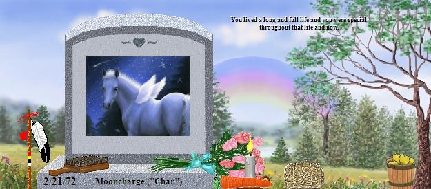 Mooncharge ("Char")'s Rainbow Bridge Pet Loss Memorial Residency Image