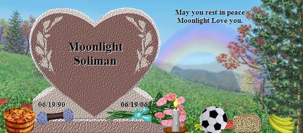 Moonlight Soliman's Rainbow Bridge Pet Loss Memorial Residency Image