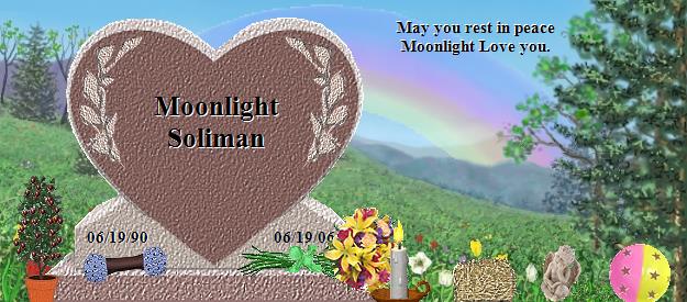 Moonlight Soliman's Rainbow Bridge Pet Loss Memorial Residency Image