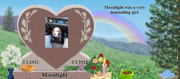 Moonlight's Rainbow Bridge Pet Loss Memorial Residency Image