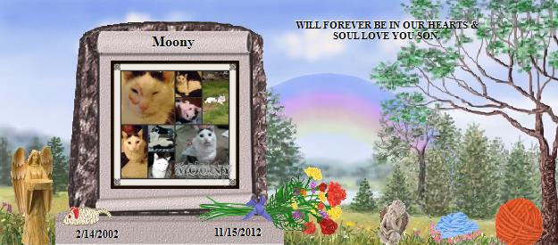 Moony's Rainbow Bridge Pet Loss Memorial Residency Image