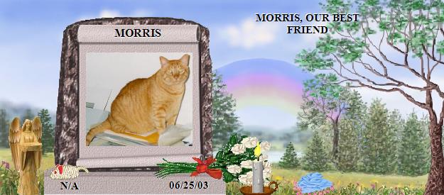 MORRIS's Rainbow Bridge Pet Loss Memorial Residency Image